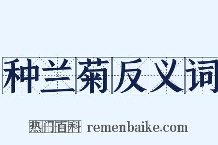 种兰菊反义词是什么意思的图片